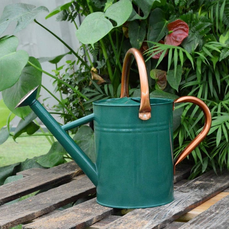 yourjoy Steel Watering Can Sliver Galvanized Steel Watering Can with Copper Accents,Removable Rosette-Diffuser,One-Gallon Green - Image 4